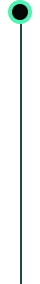 Timeline